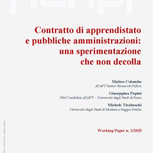 Contratto di apprendistato e pubbliche amministrazioni: una sperimentazione che non decolla